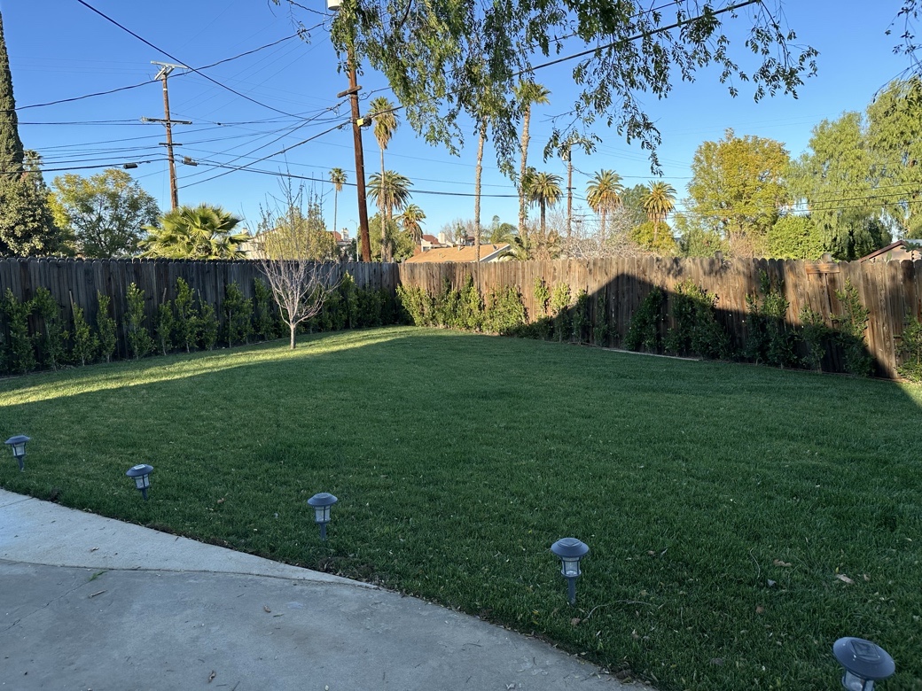 Beautiful backyard area